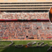 Tennessee Volunteers Fans Deliver Beautiful Tribute To Dolly Parton